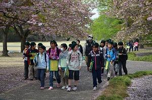 社会科見学