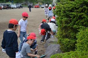 ビューティ日小